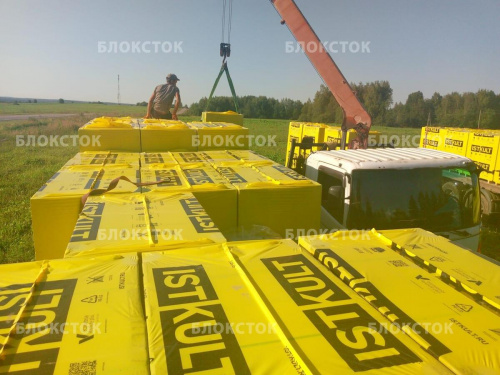 Пеноблоки Istkult D600 625х250х100 перегородочные